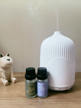Load image into Gallery viewer, ELECTRIC AROMA DIFFUSER